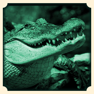 Krokodyl sennik